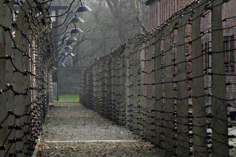 Auschwitz-Birkenau Museum Guided Tour