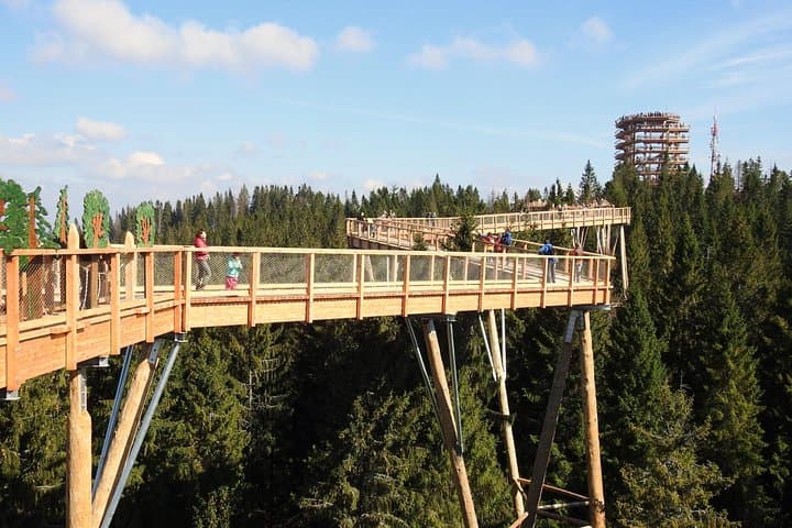 From Kraków: Slovakia Treetop Walk Bachledka and Zakopane