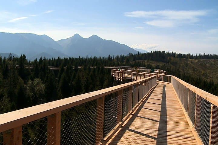 From Kraków: Slovakia Treetop Walk Bachledka and Zakopane