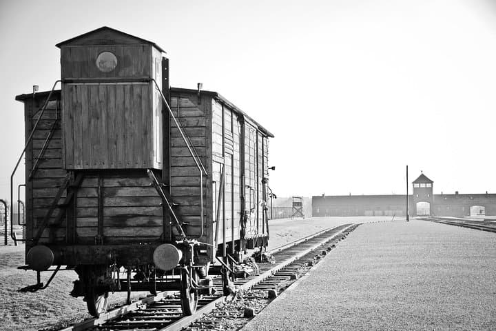 Auschwitz- Birkenau and Salt Mine in Wieliczka in one day with private transport