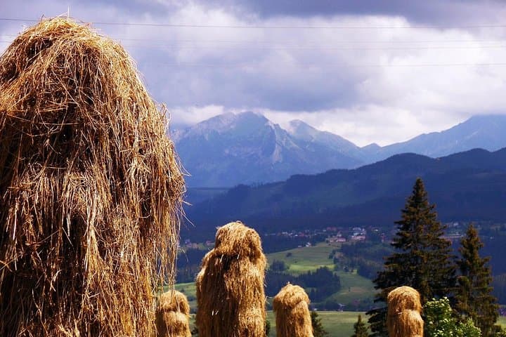 Zakopane Day Trip from Krakow with Private Transport