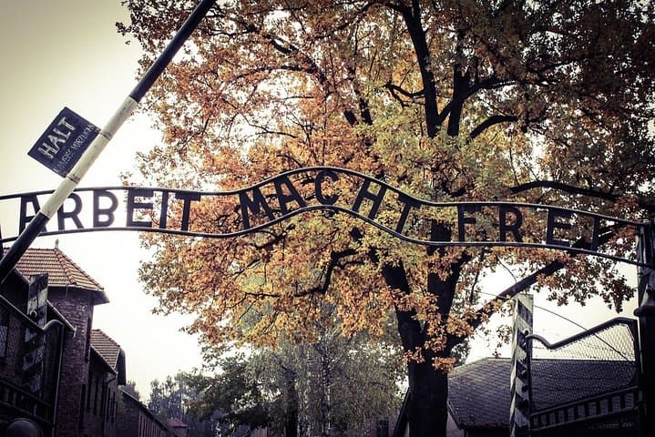 Krakow: Auschwitz-Birkenau Shared English Tour and Transfer