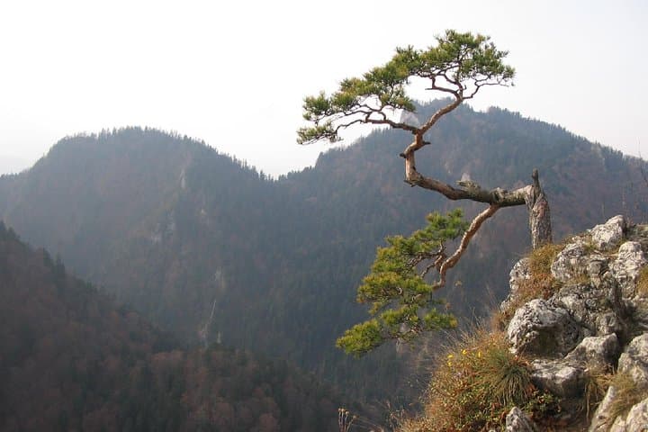 From Krakow: Zakopane and Dunajec Pontoon Rafting