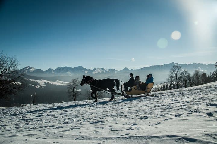 Horse Sleigh Ride in the Polish Countryside, private tour from Krakow