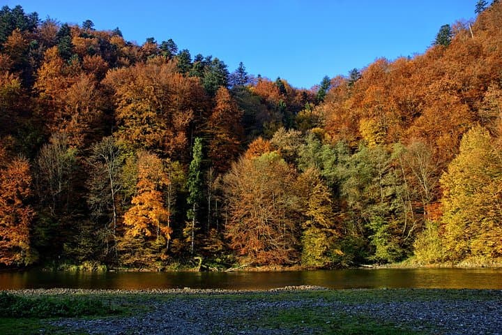 Dunajec River Gorge Rafting - Private Tour from Krakow