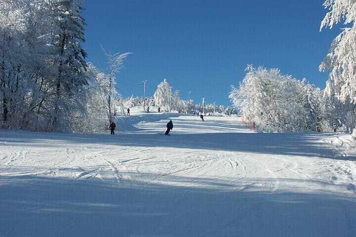 Skiing Classes - Day Trip from Krakow: Beginner or Advanced