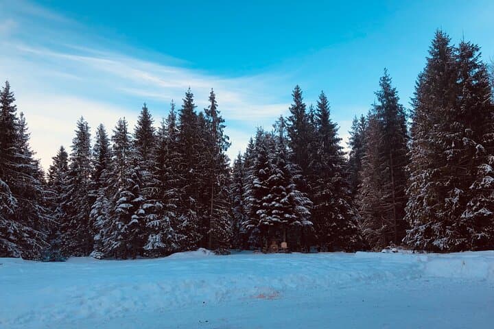Zakopane & Funicular with Cheese & Vodka Tasting
