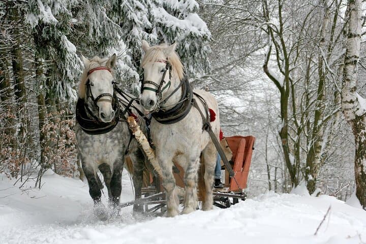Horse Sleigh Ride & Bonfire - Private Tour from Zakopane