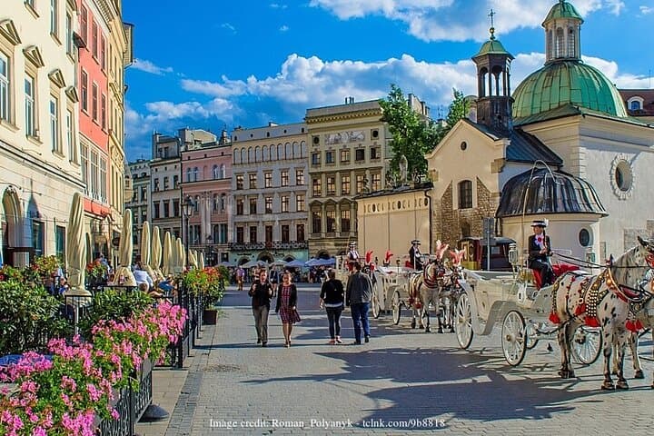 Krakow in a Day: Private Walking Tour including Wawel Castle