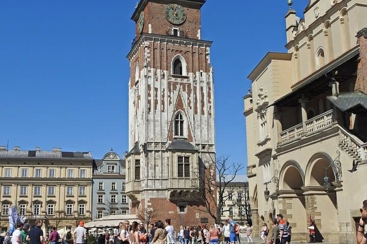 Krakow in a Day: Private Walking Tour including Wawel Castle