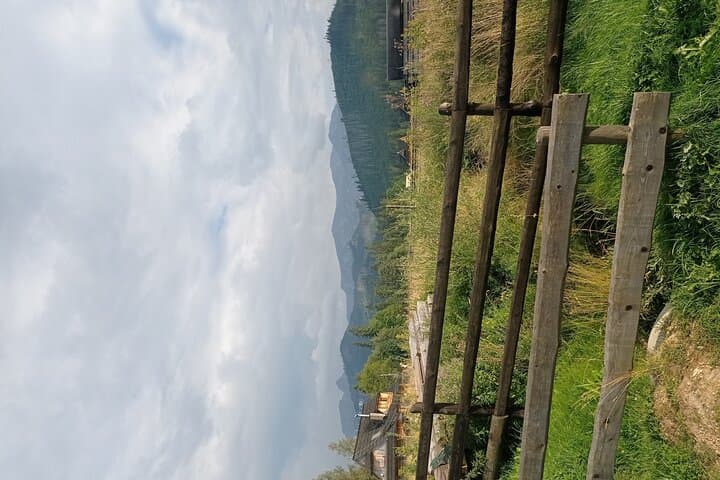 View from Polana nad Białym Potokiem