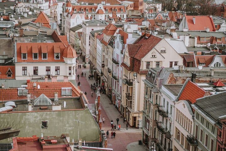 Gothic architecture and Copernicus's Life Private Walking Tour