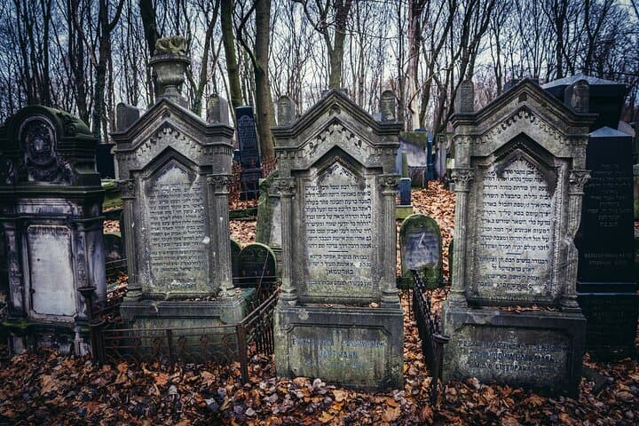 Private Tour of Warsaw Ghetto, Jewish Cemetery, POLIN Museum