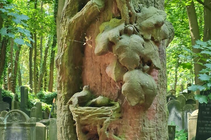Jewish cemetery in Warsaw