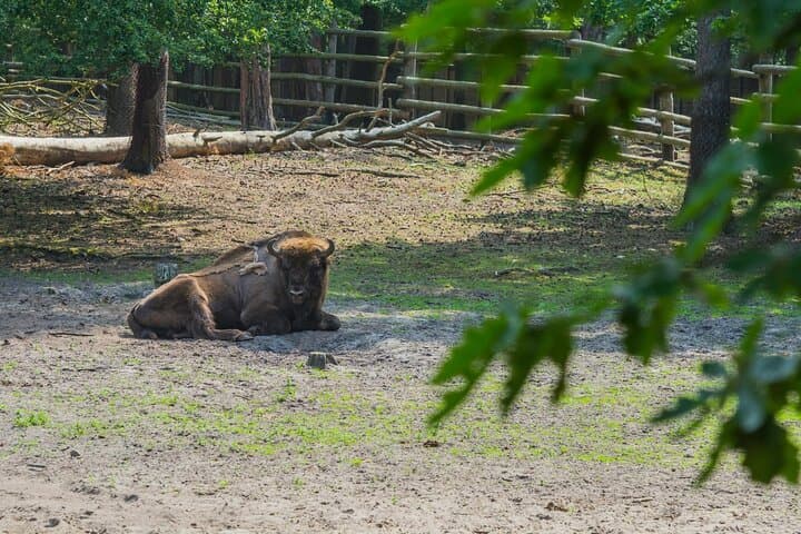Szczecin Wolin National Park Private Guided Tour
