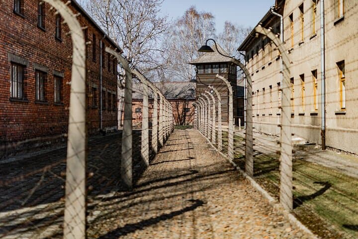 Krakow to Auschwitz Birkenau Guided Tour with Private Transfer
