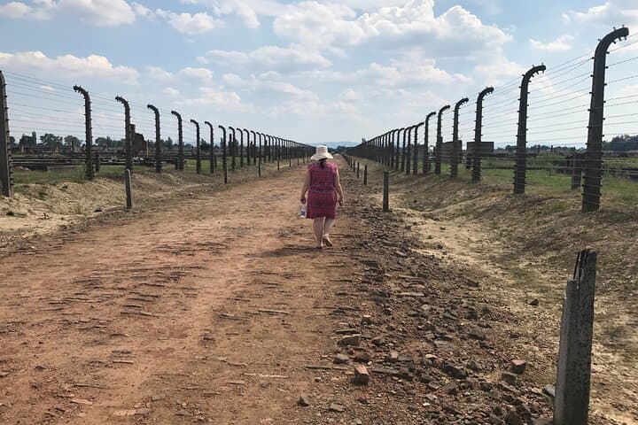 Krakow: Auschwitz-Birkenau & Salt Mine -private/shared transport
