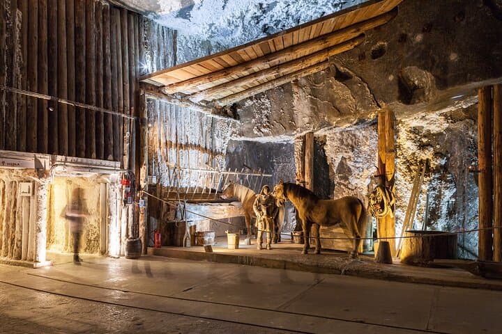 Wieliczka Salt Mine from Krakow, Guided Half-Day Tour with Private Transport