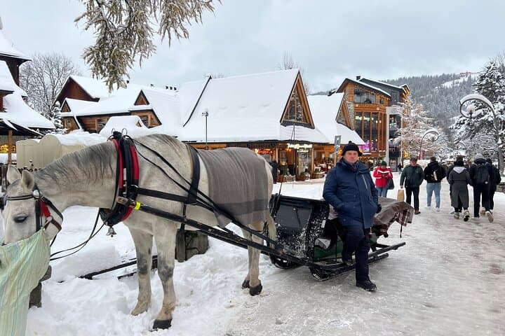 Private Full Day Zakopane Tour from Krakow