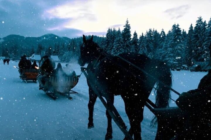 Krakow Sleigh Ride Adventure in Chocholowska Valley in Tatras