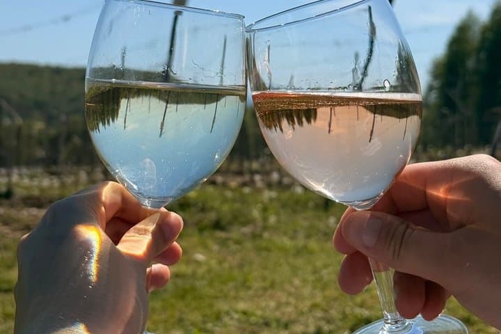 Krakow Half Day Tour Tyniec Abbey and Wine Tasting