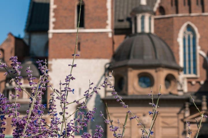Wawel Castle Cathedral with an English Guide