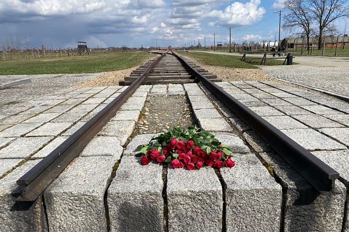 Krakow Auschwitz Birkenau Guided Tour with Entry Tickets