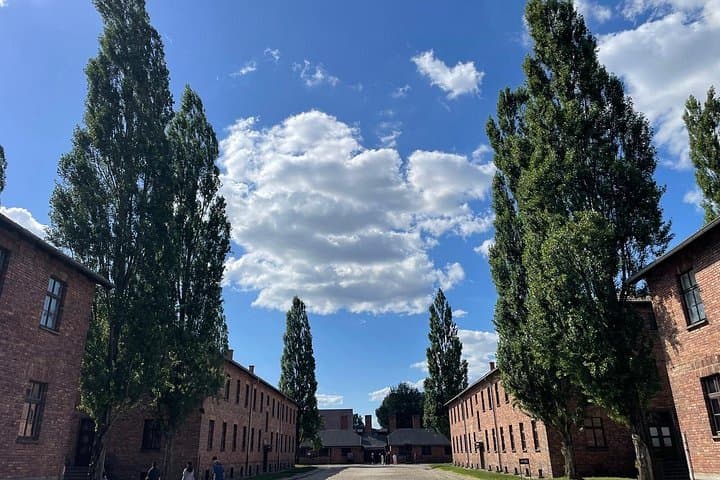 Auschwitz Birkenau Guided Tour Tickets and Transfer from Krakow