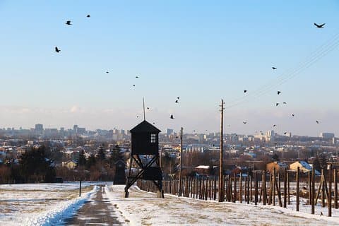 Majdanek, Lublin, a unique tour from Warsaw pick up/drop off