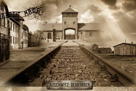 Auschwitz & Birkenau Best Value Guided Tour-Skip The Line Tickets