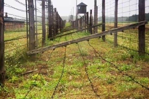 Tour to Majdanek Concentration Camp and Lublin from Warsaw