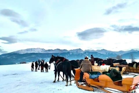Sled ride pulled by horses with bonfire and dinner.