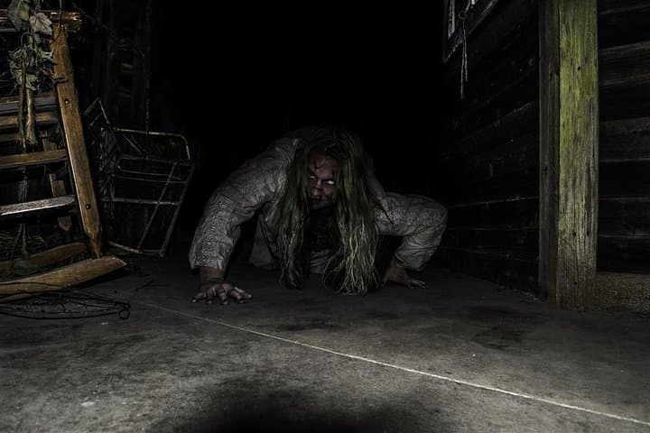 h1