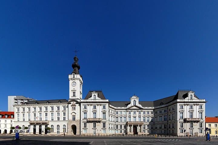 Warsaw Old Town with Royal Castle + Royal Route: PRIVATE TOUR /inc. Pick-up/
