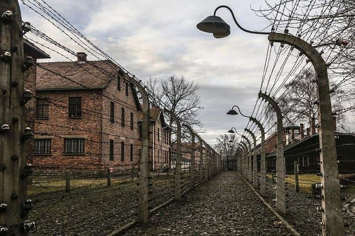Krakow: Auschwitz-Birkenau & Salt Mine OneDay Tour (hotel pickup)