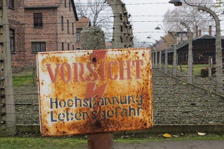 Full-Day Auschwitz and Birkenau Tour from Krakow with Private Transfer