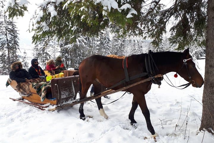 Horse sleigh ride in the countyside and Thermal Pools in one day, private tour