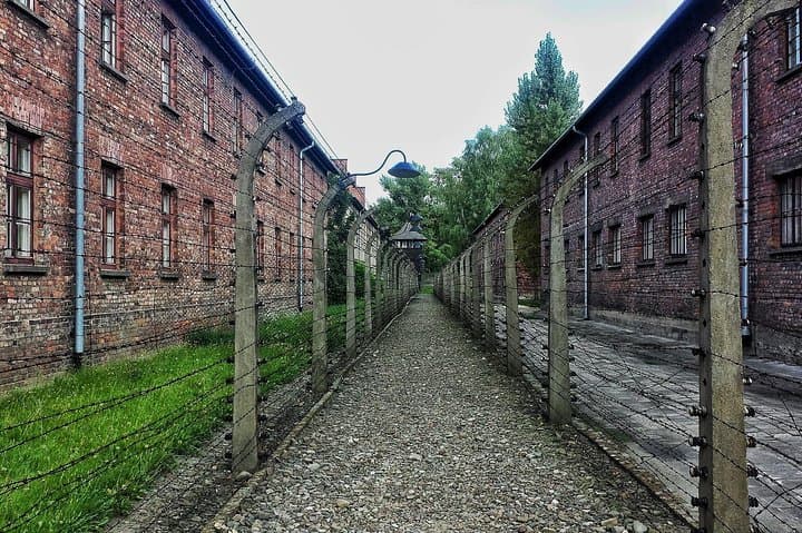 Krakow to Auschwitz-Birkenau: Private 2-way transfer