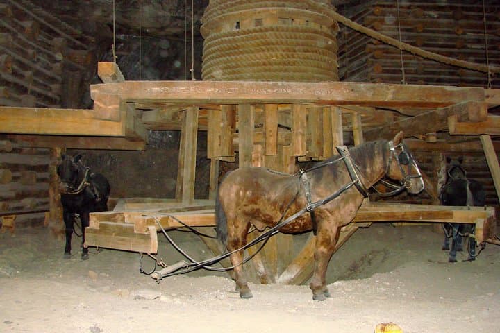 Wieliczka Salt Mine