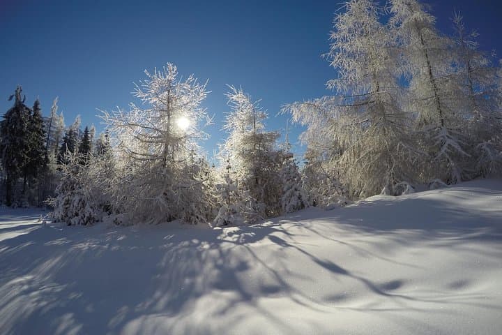 From Krakow: Siepraw Skiing for Beginners