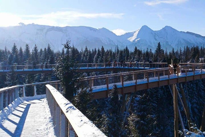 From Kraków: Slovakia Treetop Walk and Bachledka Ski