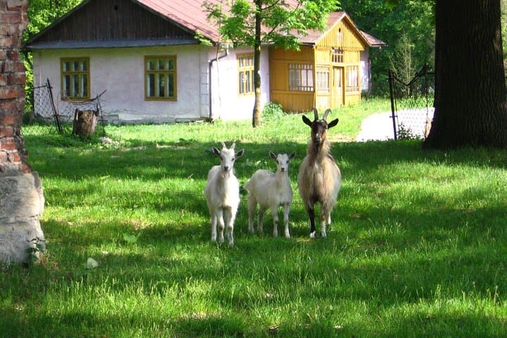 Two days in the polish countryside - private tour from Krakow