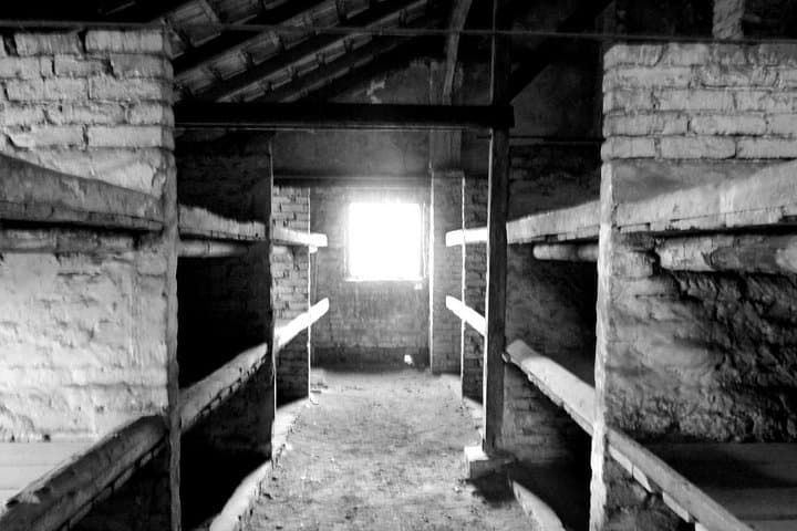 Birkenau camps