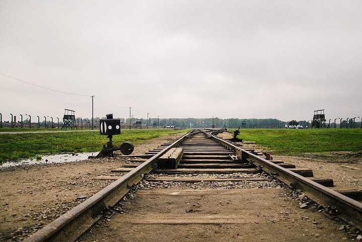 From Krakow: Auschwitz-Birkenau and Salt Mine with Private Transfer