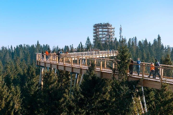 From Krakow: Zakopane, Slovakia Treetop Walk & Thermal Baths