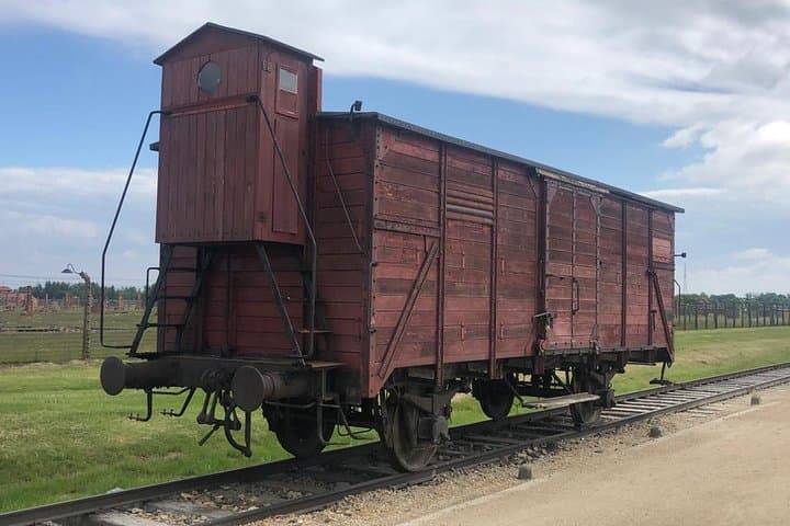 Auschwitz-Birkenau and Wieliczka Salt Mine Museum Guided Tour from Krakow