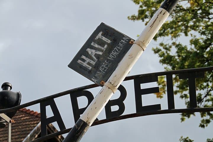 Krakow: Auschwitz-Birkenau and Salt Mine Guided Visits in One Day