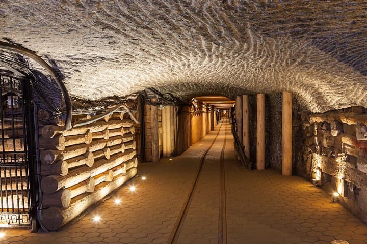 Full-Day Auschwitz-Birkenau and Salt Mine from Krakow