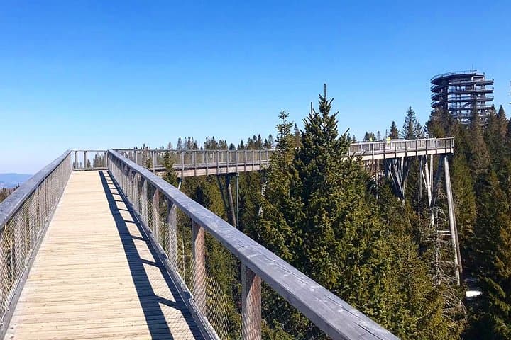 Treetop Walk in Slovakia and Thermal Baths from Krakow