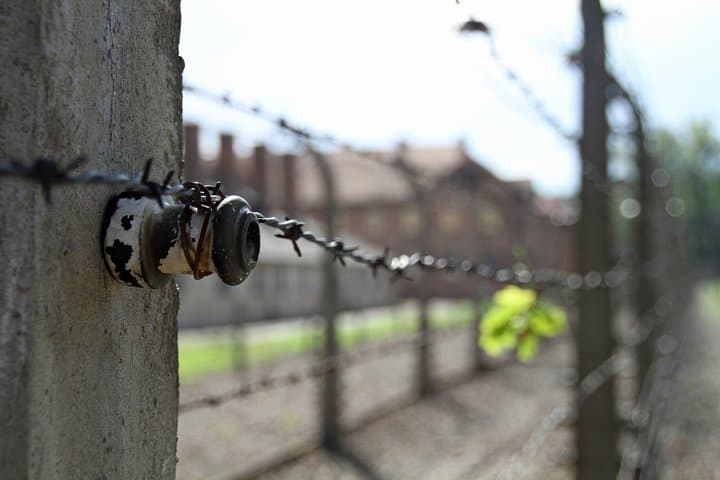 Auschwitz Guided Tour